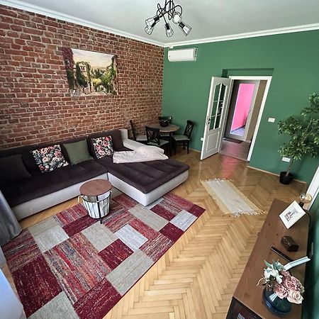 Asha Central Apartment Temeşvar Dış mekan fotoğraf